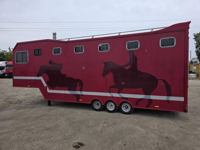 VELDHUIZEN P27-3 BE Horse Transporter semi trailer - Semireboque transporte de veículos: foto 5 VELDHUIZEN P27-3 BE Horse Transporter semi trailer - Semireboque transporte de veículos: foto 5