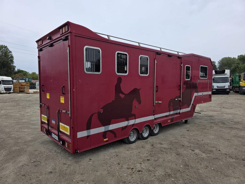 VELDHUIZEN P27-3 BE Horse Transporter semi trailer - Semireboque transporte de veículos: foto 1 VELDHUIZEN P27-3 BE Horse Transporter semi trailer - Semireboque transporte de veículos: foto 1
