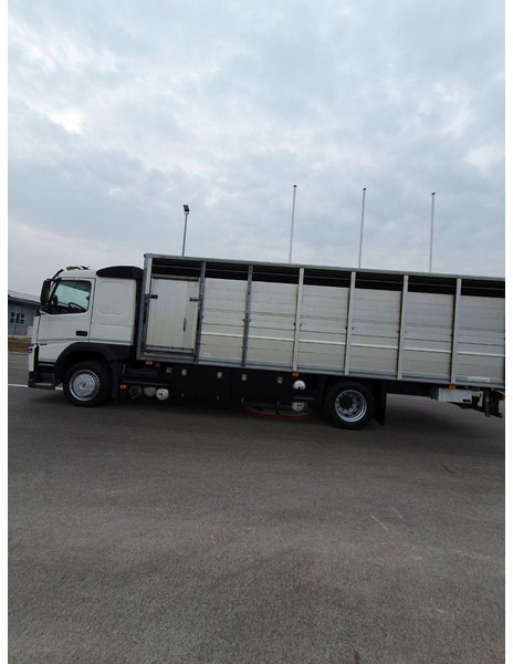 Volvo FM 500 Viehtransporter ( Rind / beef ) - Caminhão transporte de gado: foto 5 Volvo FM 500 Viehtransporter ( Rind / beef ) - Caminhão transporte de gado: foto 5