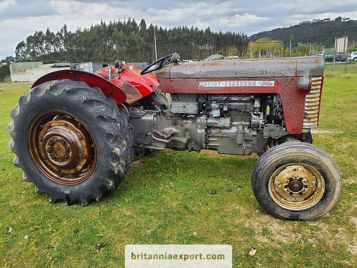 MASSEY FERGUSON 65 | 4 cylinder diesel | disc brakes - Trator: foto 1 MASSEY FERGUSON 65 | 4 cylinder diesel | disc brakes - Trator: foto 1