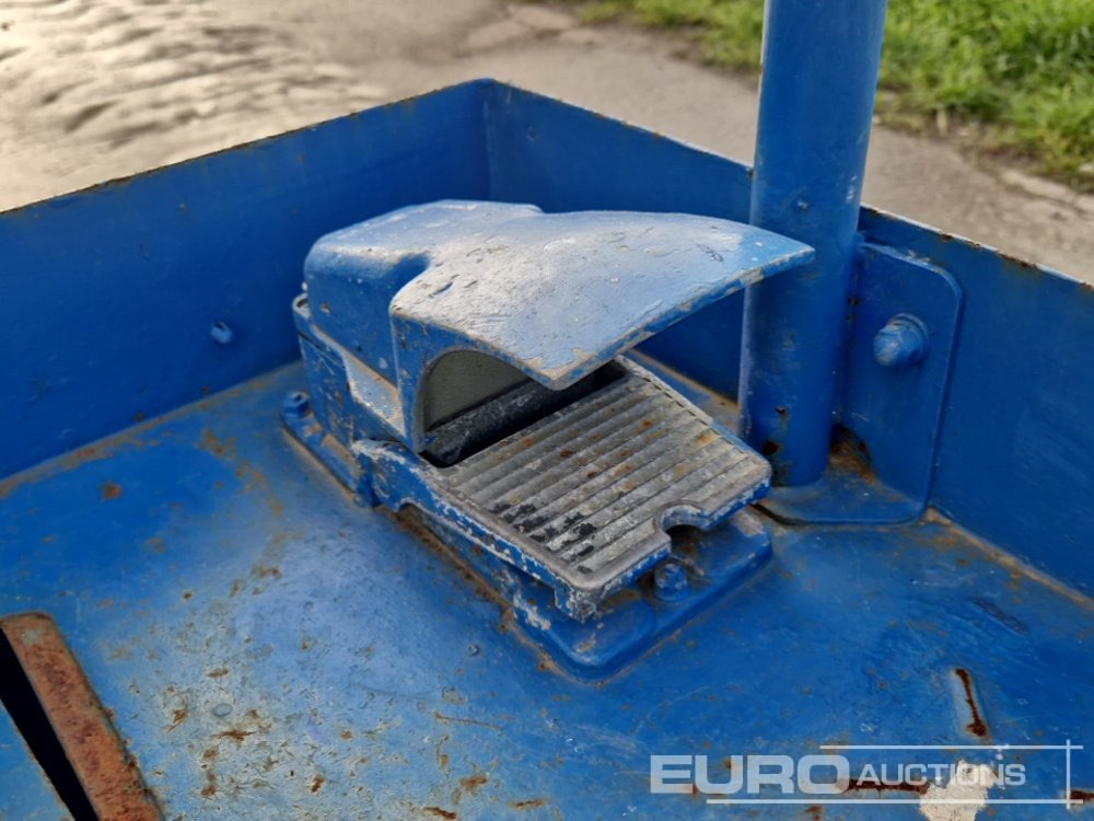 Plataforma de mastro vertical Aichi RM04B: foto 12