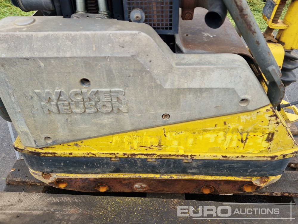 Wacker Neuson DPU6555HE - Placas vibratórias: foto 5 Wacker Neuson DPU6555HE - Placas vibratórias: foto 5