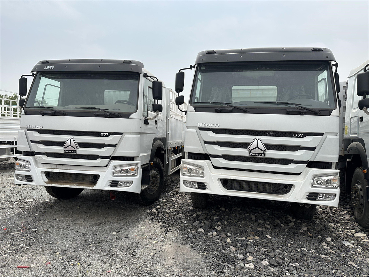 SINOTRUK HOWO 371 Cargo truck - Caminhão transporte de gado: foto 2 SINOTRUK HOWO 371 Cargo truck - Caminhão transporte de gado: foto 2