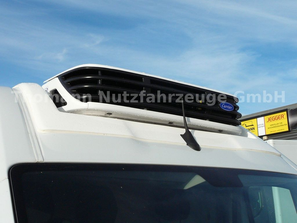 Carrinha frigorífica nuevo Opel Movano Kühlkastenwagen Xarios 300 GH: foto 14