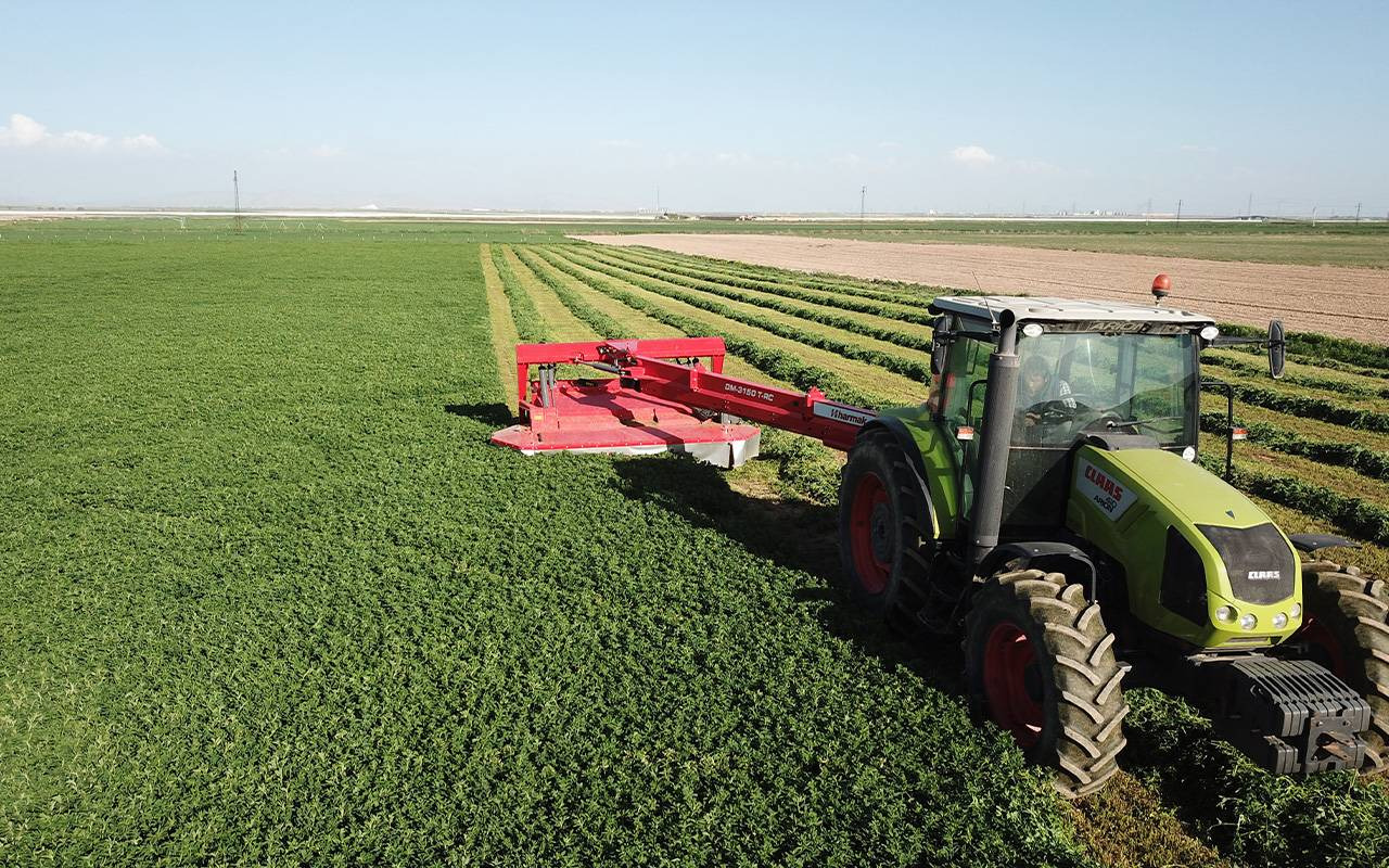 Harmak disc mower with trailed roller conditioner DM-3150 T-RC - Gadanheira: foto 3 Harmak disc mower with trailed roller conditioner DM-3150 T-RC - Gadanheira: foto 3