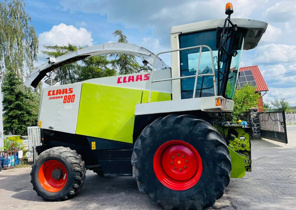 Claas Jaguar 880 - Picadora de forragem automotriz: foto 1 Claas Jaguar 880 - Picadora de forragem automotriz: foto 1