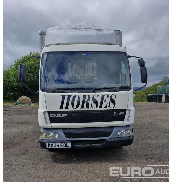 2006 DAF 45.150 - Caminhão transporte de gado: foto 4 2006 DAF 45.150 - Caminhão transporte de gado: foto 4