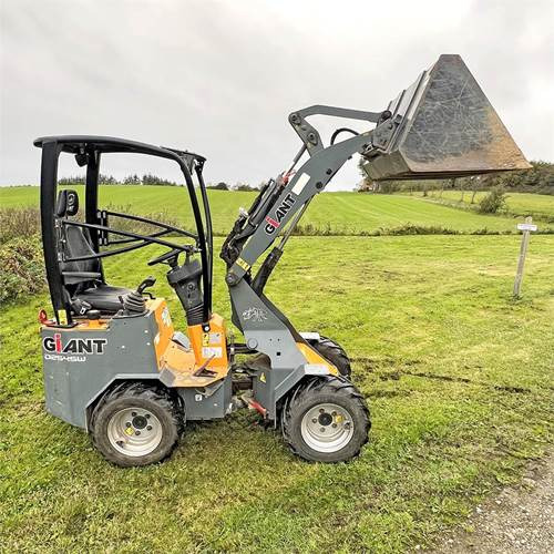 Mini carregadeira Giant D254SW: foto 9 Mini carregadeira Giant D254SW: foto 9