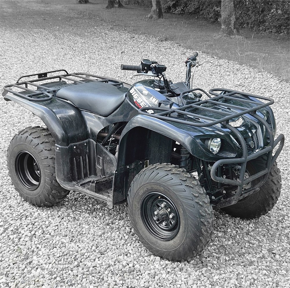 Yamaha YFM 250 - Quadriciclo: foto 1 Yamaha YFM 250 - Quadriciclo: foto 1