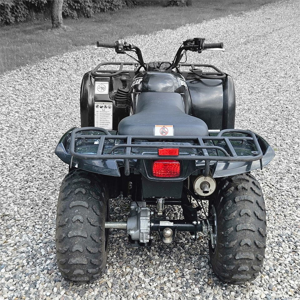 Yamaha YFM 250 - Quadriciclo: foto 5 Yamaha YFM 250 - Quadriciclo: foto 5