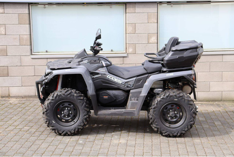 Lodestar Odes1000ATV-L - Quadriciclo: foto 2 Lodestar Odes1000ATV-L - Quadriciclo: foto 2