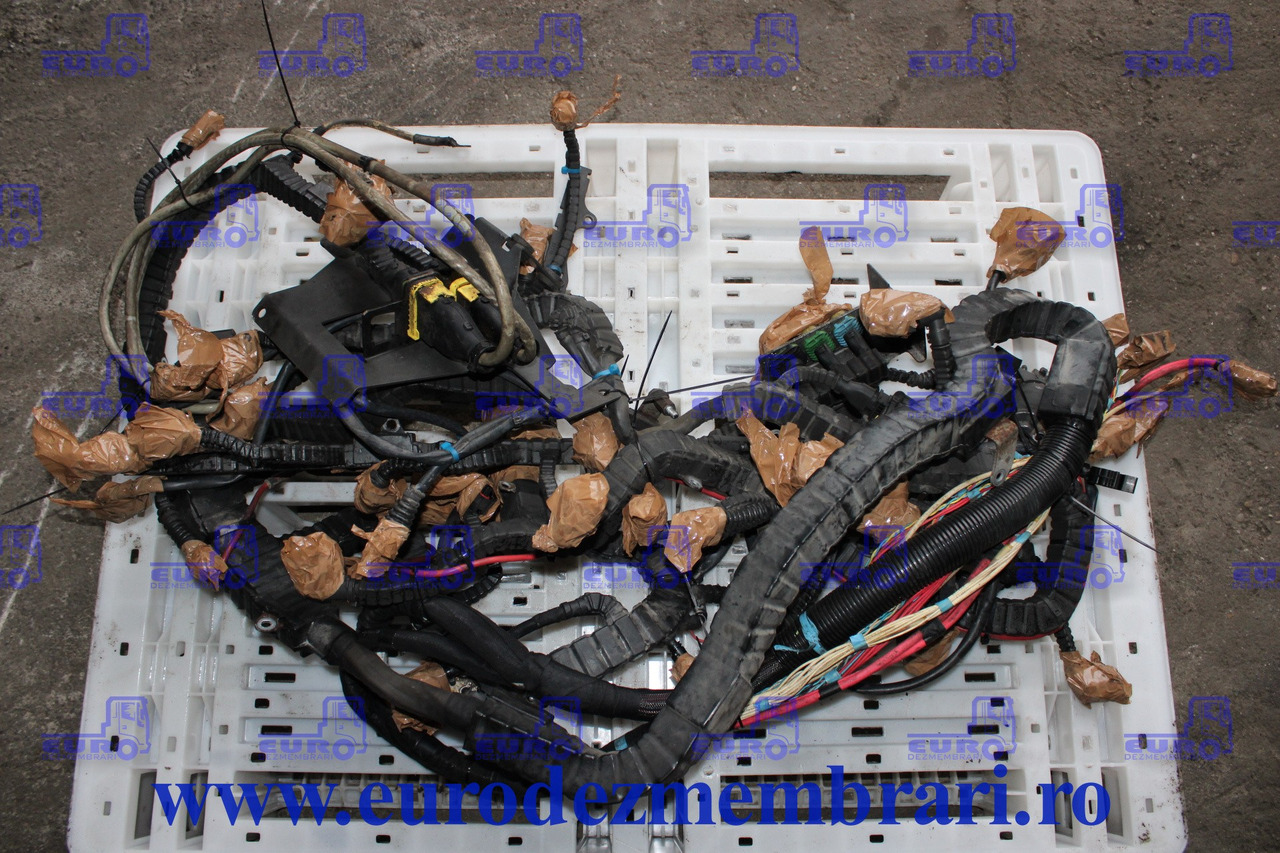 INSTALATIE ELECTRICA MOTOR DAF XF106 MX-13 2032798 - Sistema elétrico de Caminhão: foto 1 INSTALATIE ELECTRICA MOTOR DAF XF106 MX-13 2032798 - Sistema elétrico de Caminhão: foto 1